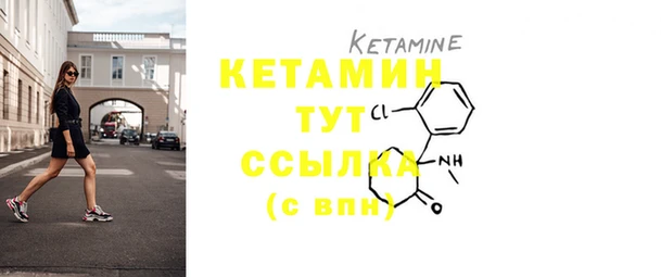 PSILOCYBIN Богородицк